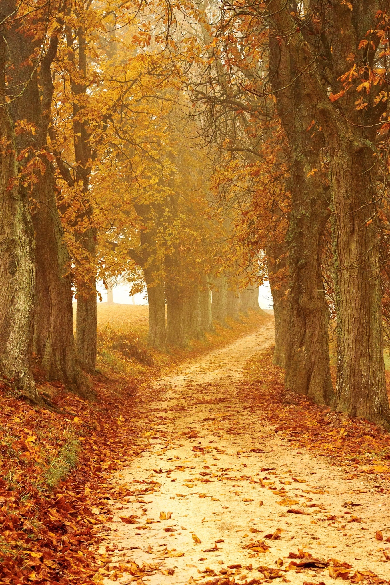 weareaway-autumn-mood-2075302