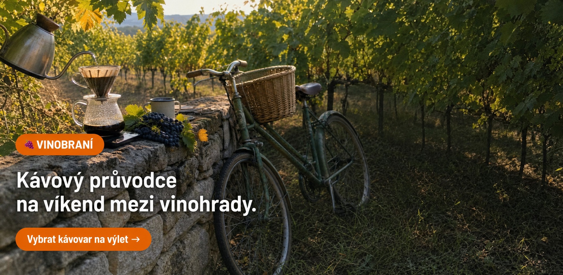 Vinobraní a podzimní výlety na jižní Moravu s kávou