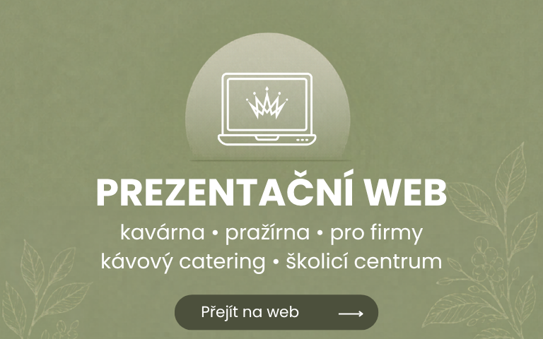 prezentační web