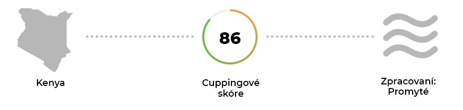 KENYA_Kirinyaga_Nguguini_AA_info