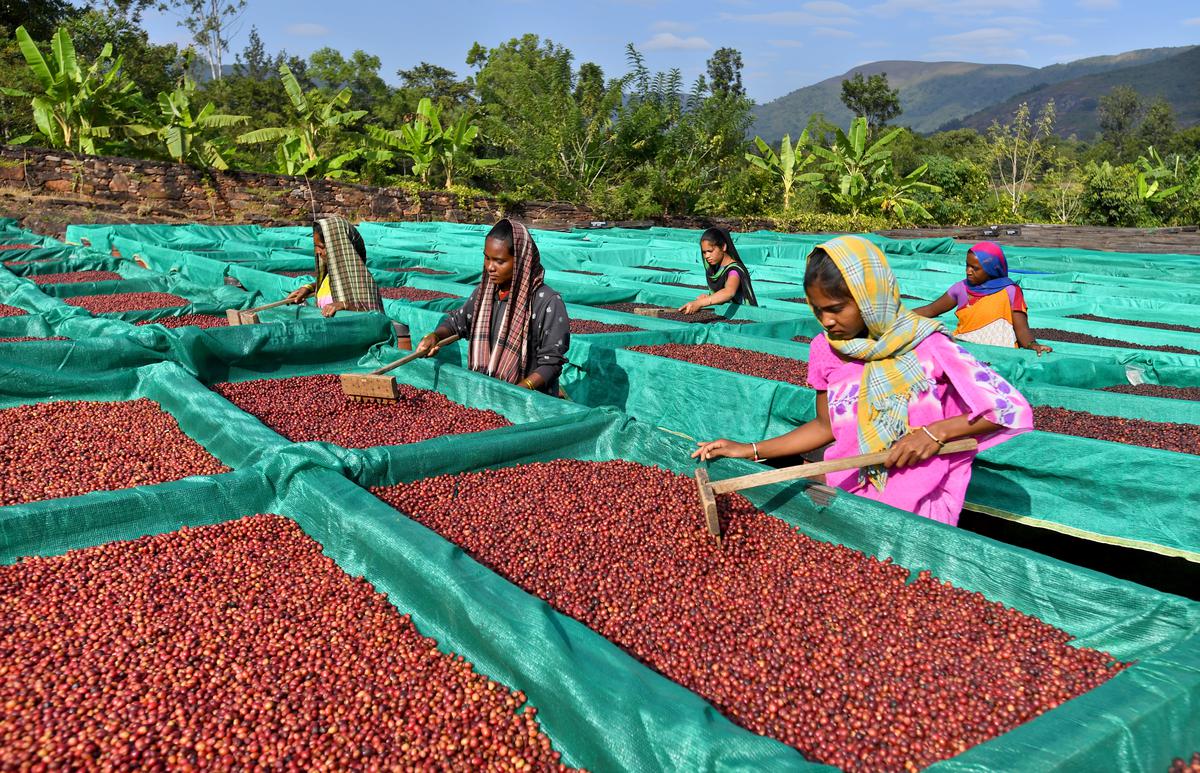india_malabar
