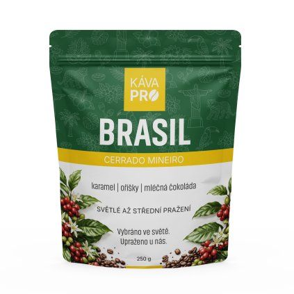 sacek zepredu BRASIL