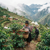 peru lifestyle2