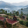 nepal lifestyle1