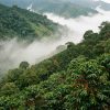 guatemala lifestyle3