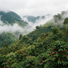 guatemala lifestyle4
