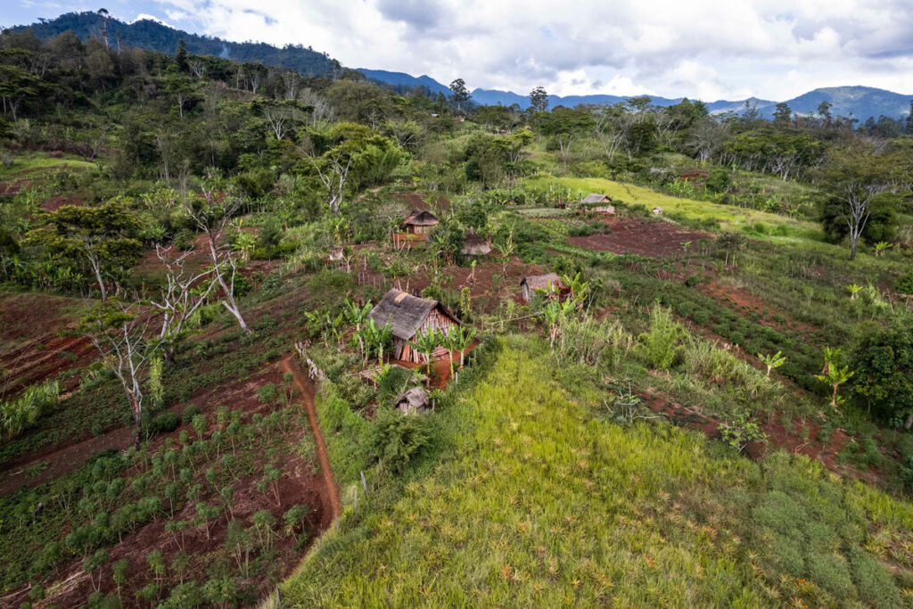 papua_new-gunea-trobica