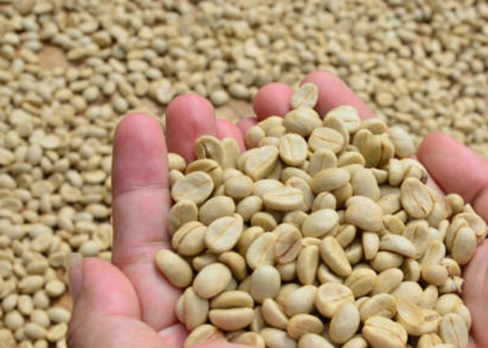 washed-coffee