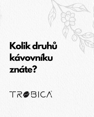 🌱 Kolik druhů kávovníku znáte? Ve světě kávy vládnou hlavně dva: ☕ Arabica – jemná, aromatická, s nižším obsahem kofeinu 🔥...