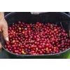 Peru 2