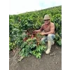 venezuela 1