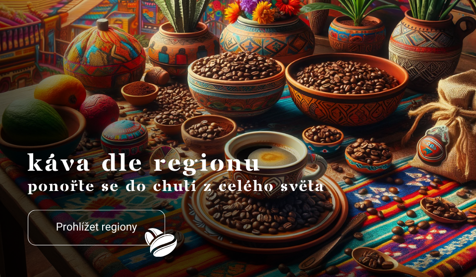 Objevte chutě světa