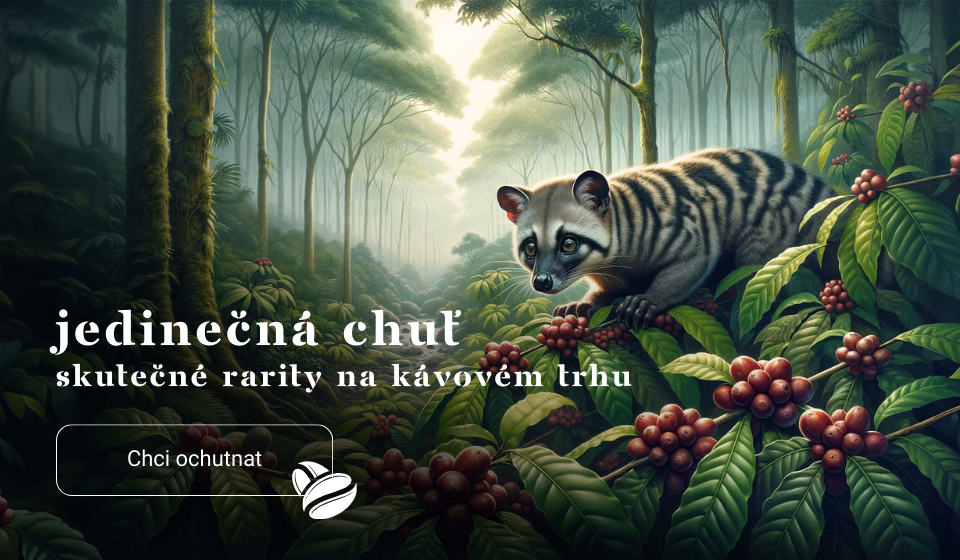 Cibetková káva