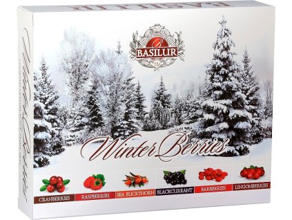 BASILUR Winter Berries Assorted přebal 60 gastro sáčků