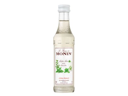 monin sirup mojito 0 05l 295294 0