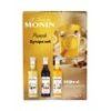 monin set 3x5cl punch 127405 v0