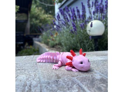 Axolotl