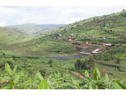 Rwanda Nova Cafe des Mamas 22