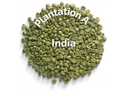 Zelená káva India Plantation A, 1 kg