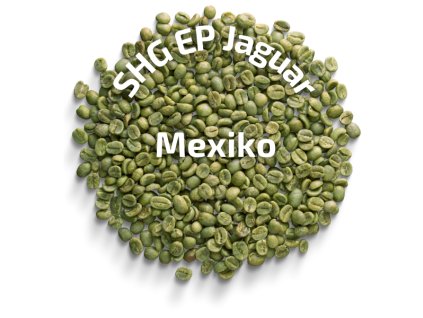 Zelená káva produkt grafika (27)