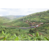 Rwanda Nova Cafe des Mamas 22