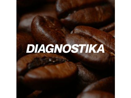 DIAGNOSTIKA (1000 x 1000 px)