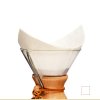 chemex fs 100 detail copy