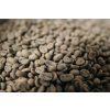 mexico green beans copy