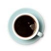 forte green cup copy
