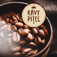 kavy-pitel-2020-12-20px