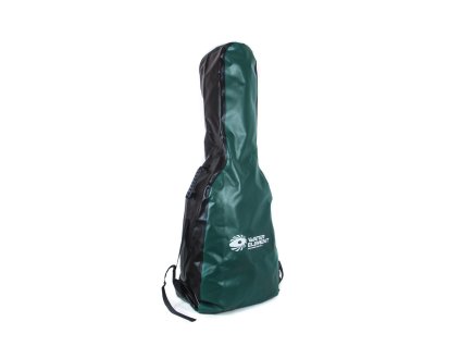 WE Lux guitar case