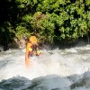 Wave Sport Phoenix (Barva Cyber Yellow)