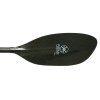 Werner Ikelos Bent Carbon