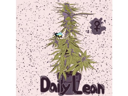 daily lean 3