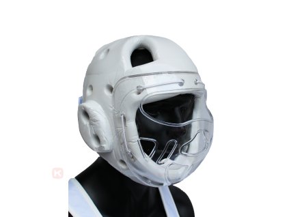 Helma1