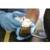 koch chemie leather brush