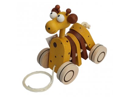 CH21221.pulltoy