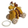 CH21221.pulltoy