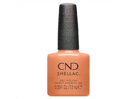 cnd shellac daydreaming