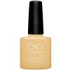 cnd shellac seeing citrine