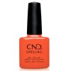 cnd shellac ig night ed