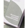 Mugwort Calming Powder Wash - Čistící enzymatický pudr s pelyňkem | 1g*25ea