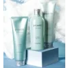 Lebel - Treatment Soft Fit +