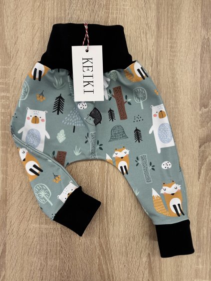 A1174F52 C494 47F8 AFD1 62BD873EC5D8