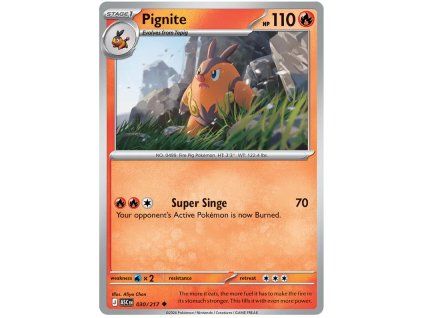 Pignite.ASC.30.60344