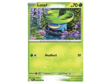 Adobe Express file 2