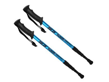 trek junior 2 a