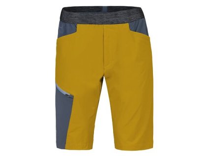 Pánské kraťasy HANNAH TORRES