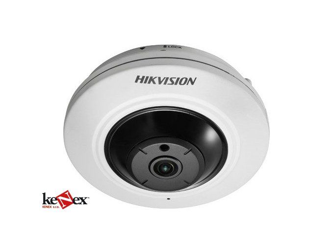 DS-2CD2955G0-ISU