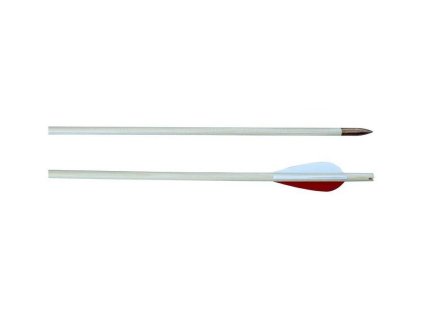 61813 dreveny sip standart 8 650 mm plastove letky zarez